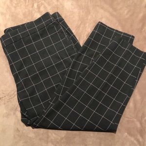 Loft Business Pants